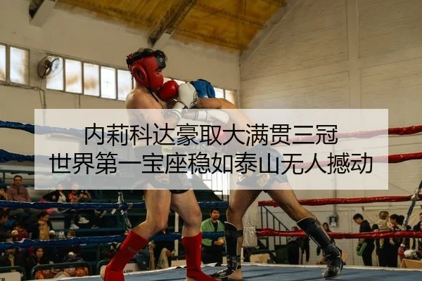 内莉科达豪取大满贯三冠 世界第一宝座稳如泰山无人撼动