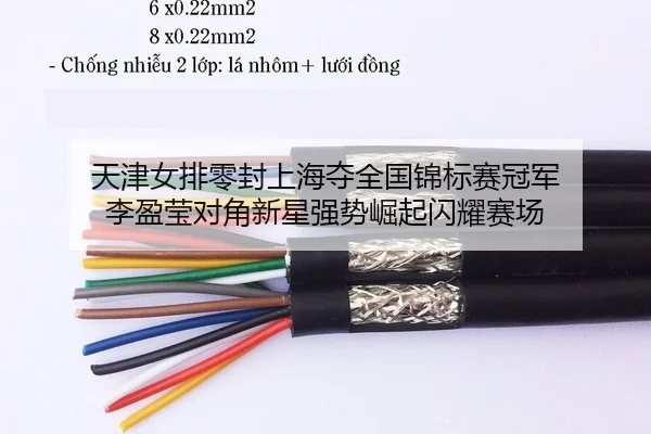 天津女排零封上海夺全国锦标赛冠军 李盈莹对角新星强势崛起闪耀赛场